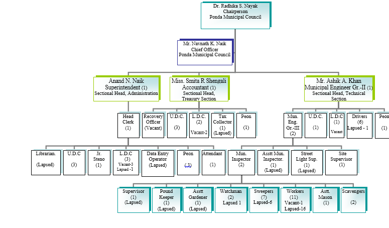 N 1 Organization Chart